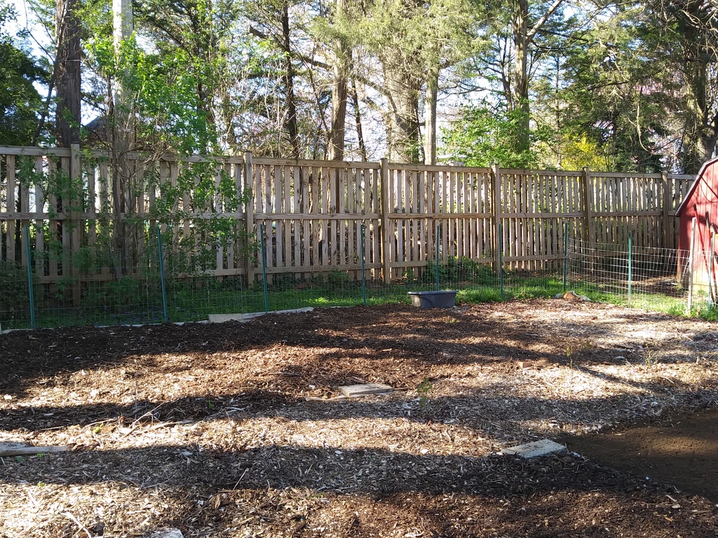 No description provided for: /2019/04-06/0416-erin-garden/photo01.html