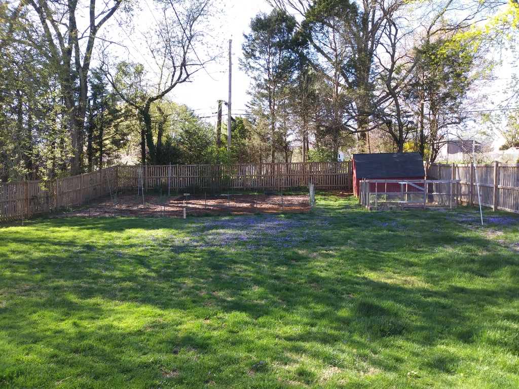 No description provided for: /2019/04-06/0416-erin-garden/photo04.html