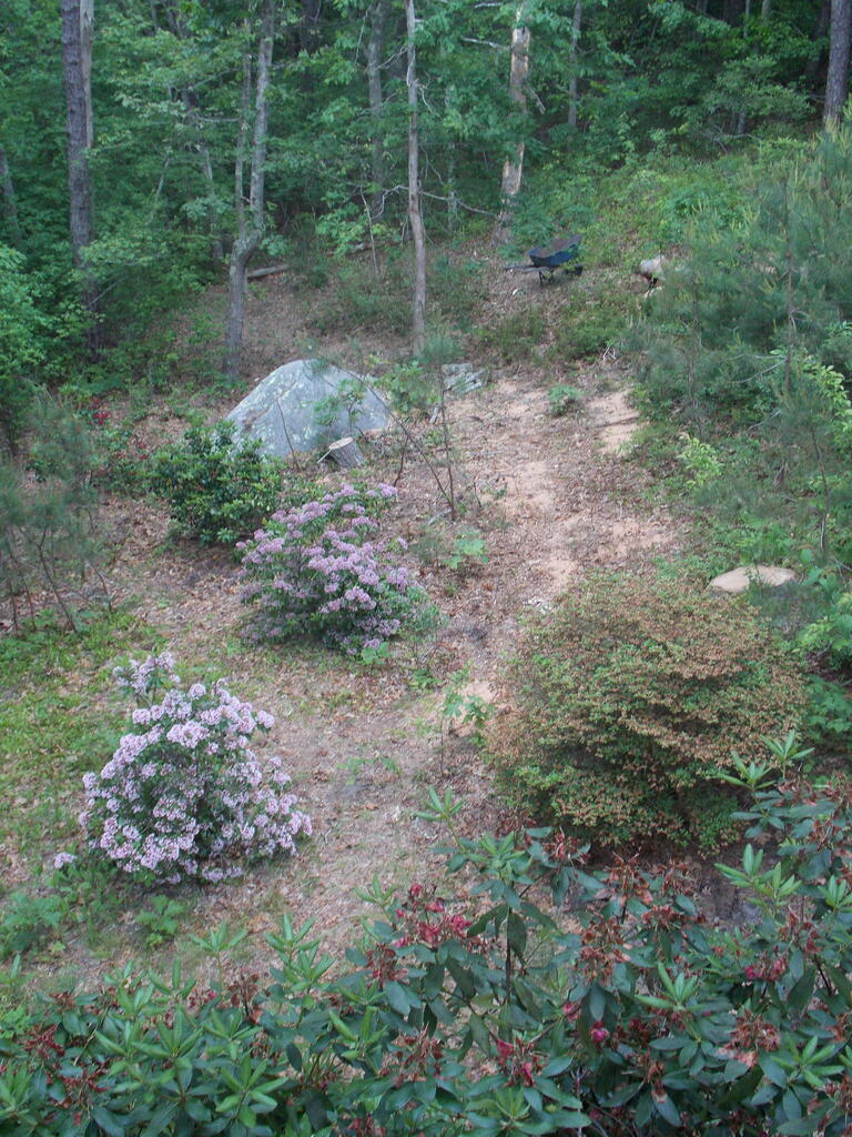 No description provided for: /2019/04-06/0616-laurel-wood-pile/photo01.html