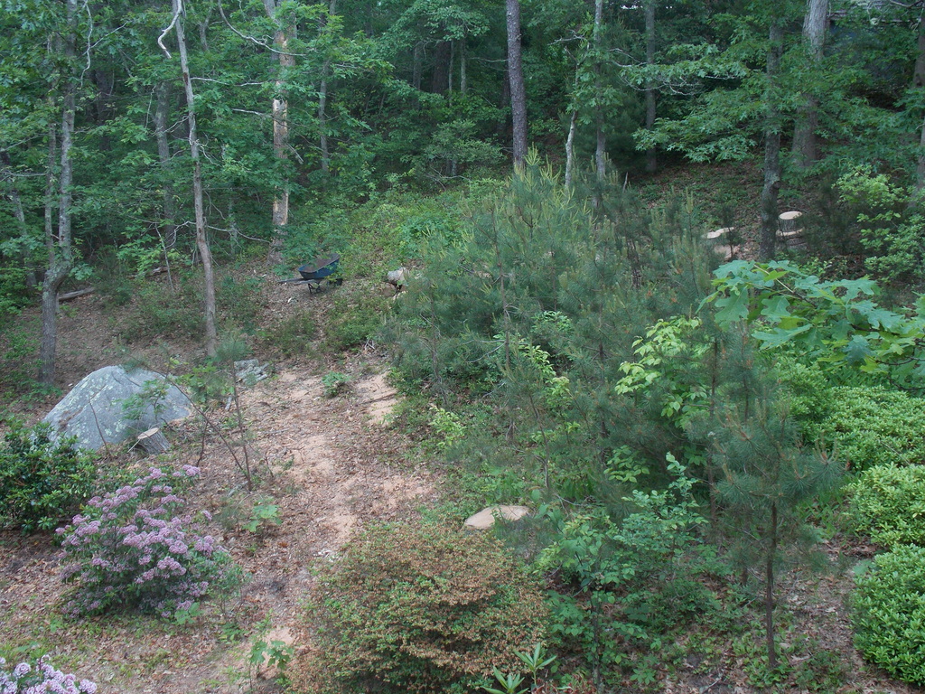 No description provided for: /2019/04-06/0616-laurel-wood-pile/photo02.html