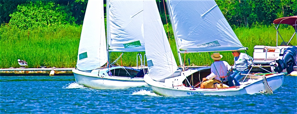 No description provided for: /2019/07-09/0720-ds-regatta-anton-dsc/_4/photo080.html