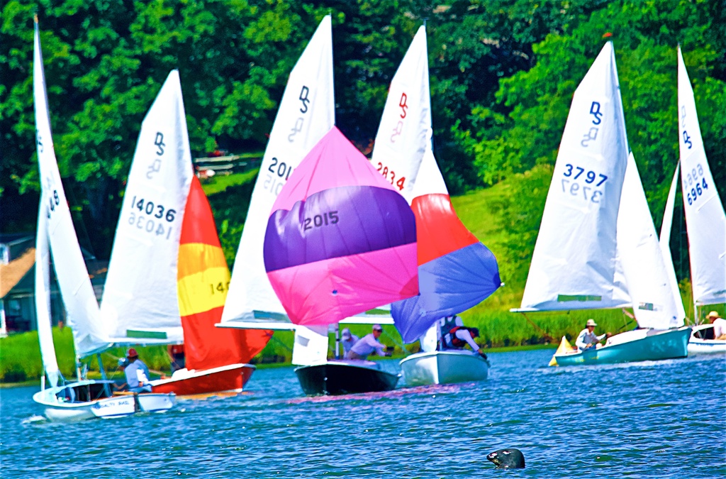 No description provided for: /2019/07-09/0720-ds-regatta-anton-dsc/_4/photo092.html