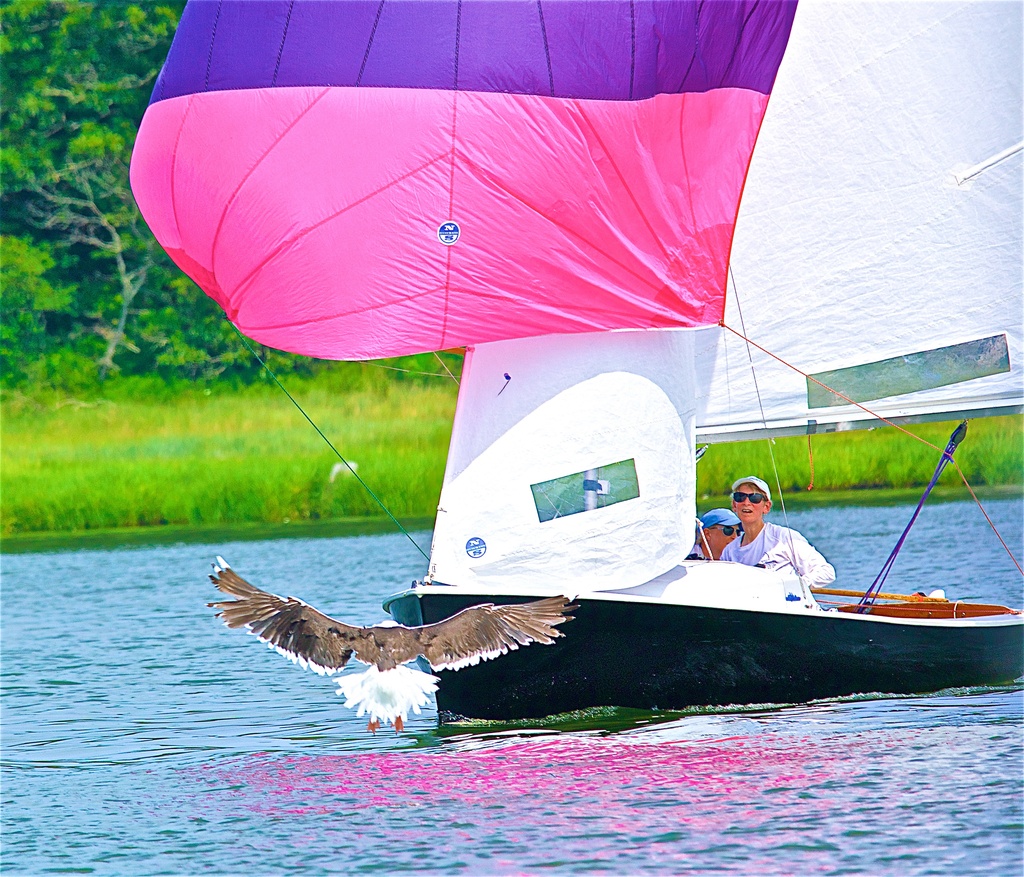 No description provided for: /2019/07-09/0720-ds-regatta-anton-dsc/_7/photo159.html