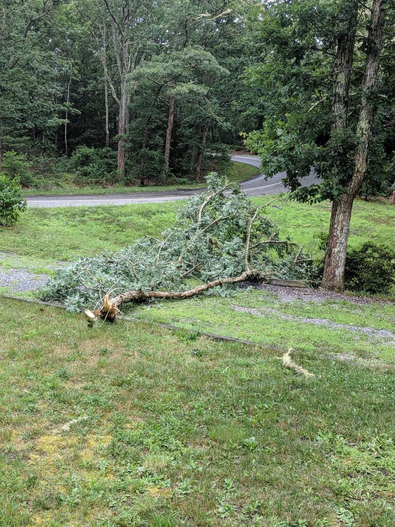 No description provided for: /2019/07-09/0723-tree-damage/photo01.html