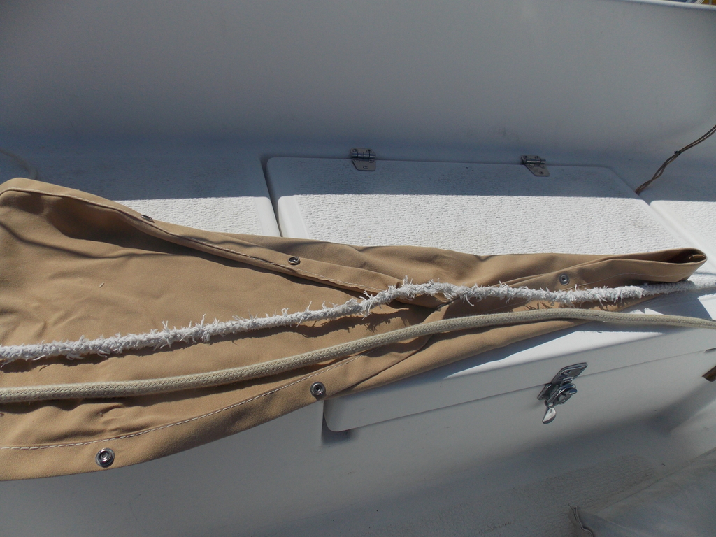 No description provided for: /2019/07-09/0910-tiller-line-bite/photo01.html