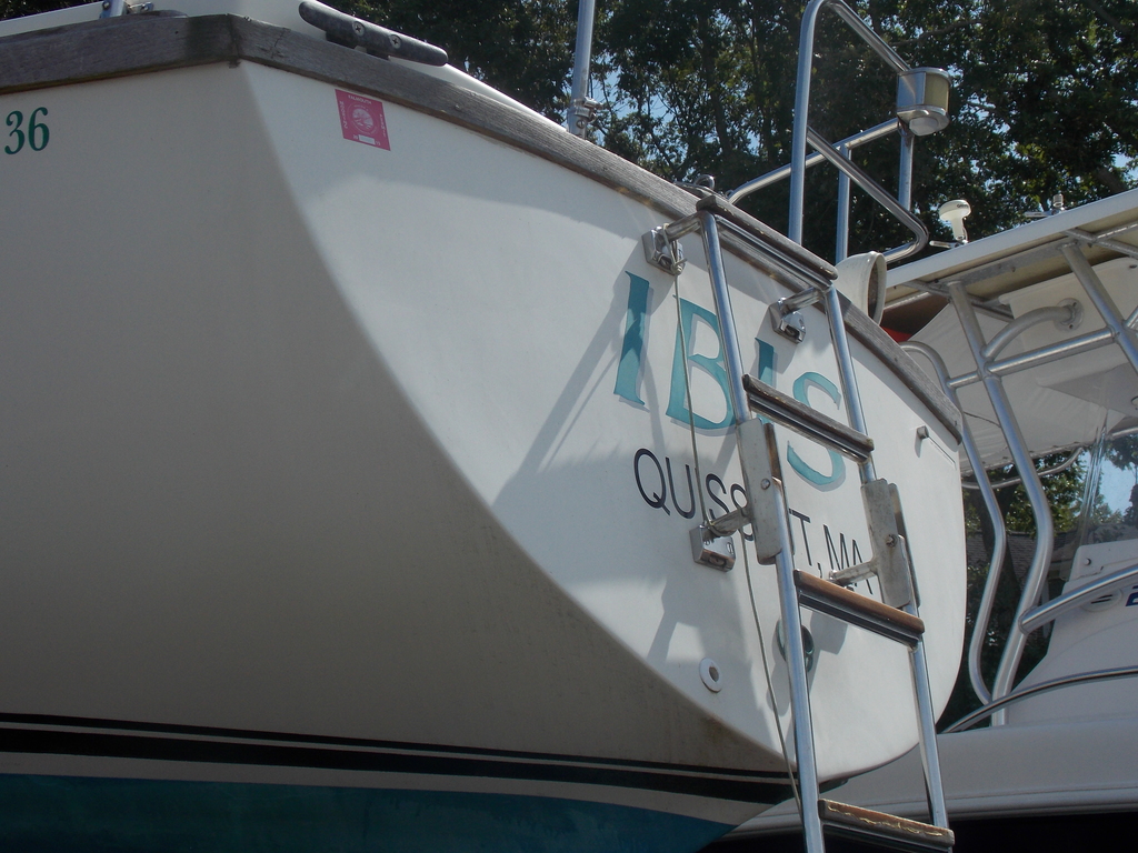 No description provided for: /2019/07-09/0914-ibis-topside/photo03.html