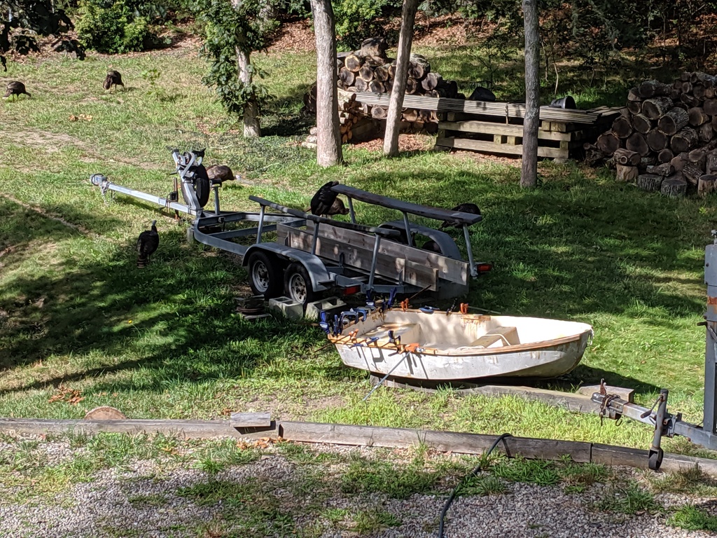 No description provided for: /2019/07-09/0918-turkeys/photo01.html