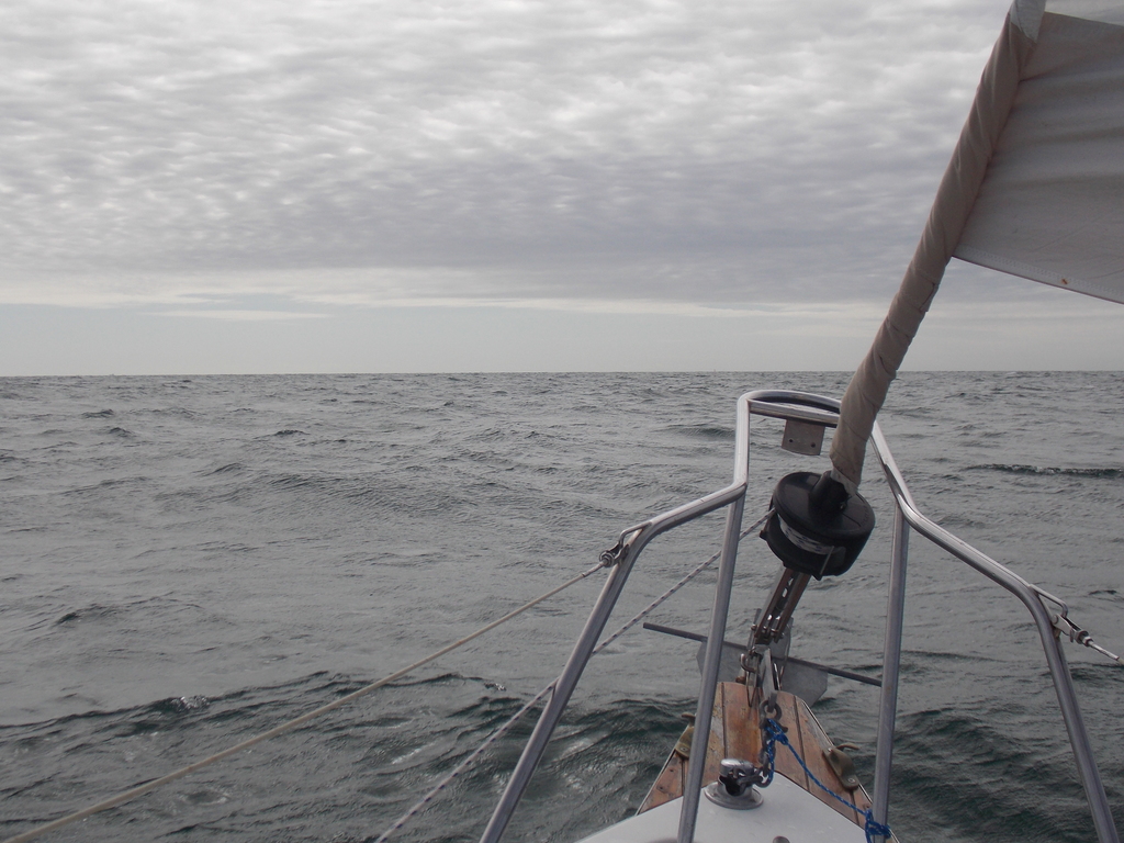 No description provided for: /2019/10-12/1006-thunder-child/photo02.html