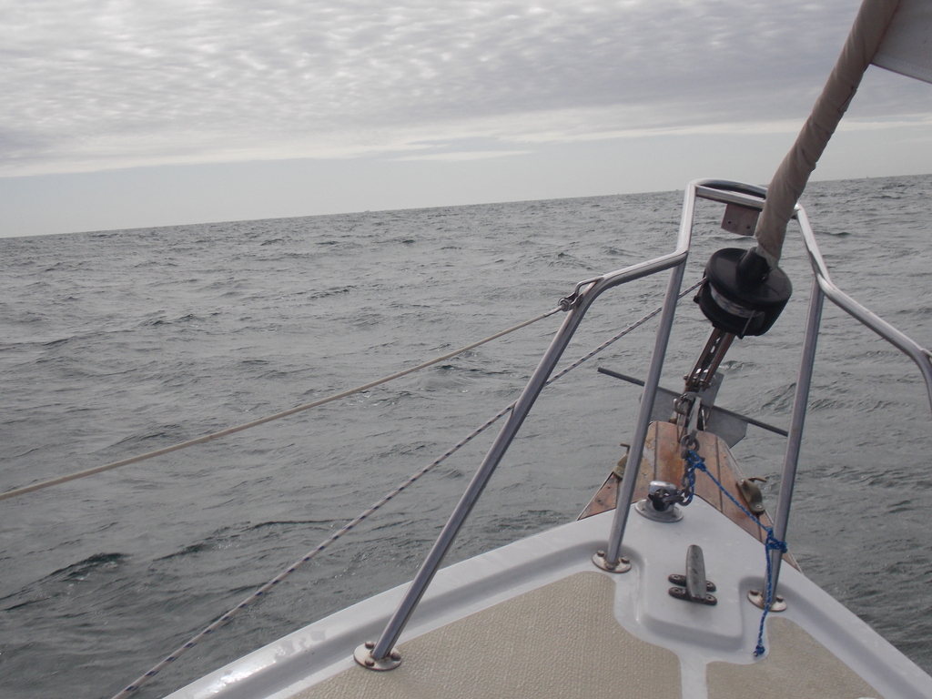 No description provided for: /2019/10-12/1006-thunder-child/photo03.html