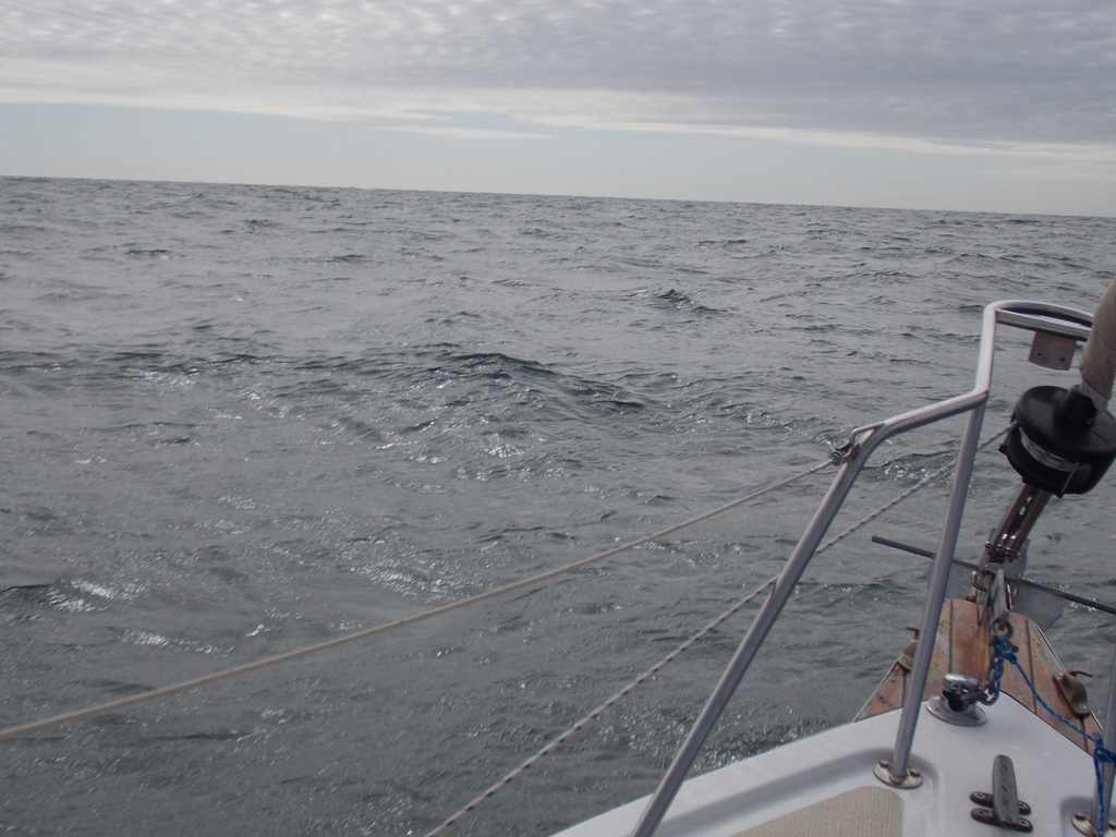 No description provided for: /2019/10-12/1006-thunder-child/photo04.html