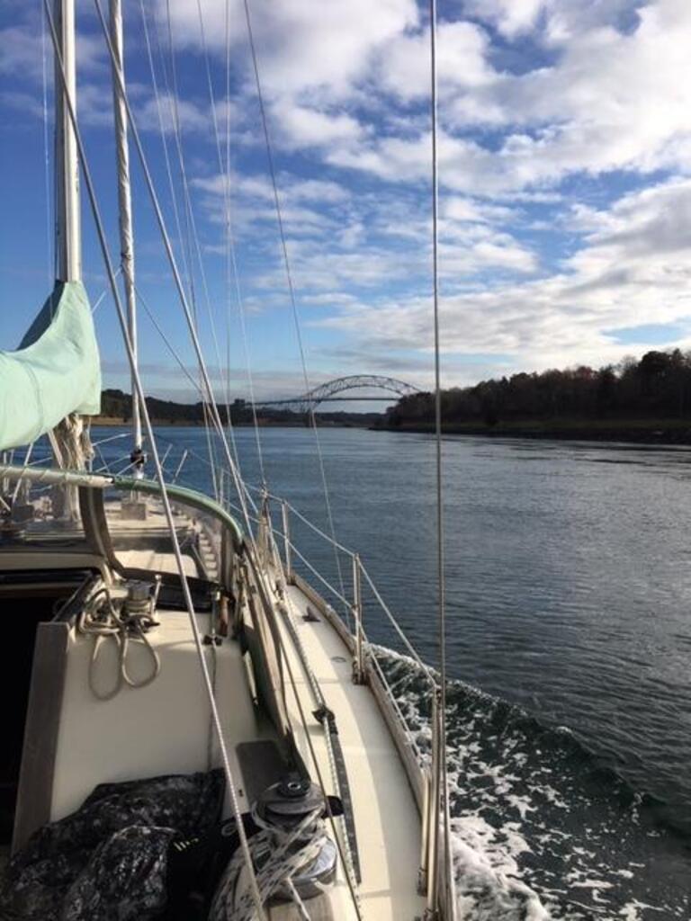 No description provided for: /2019/10-12/1115-moving-ibis/photo05.html