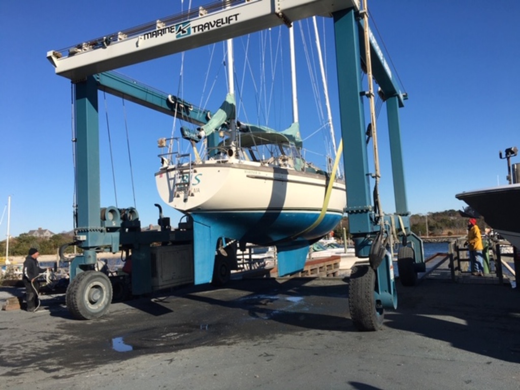 No description provided for: /2019/10-12/1115-moving-ibis/photo09.html