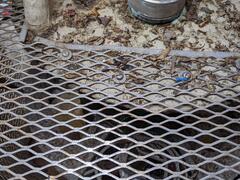 Image file: photo04.jpg