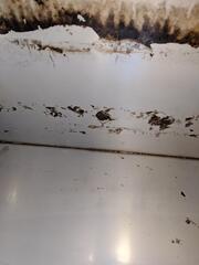 Image file: photo02.jpg