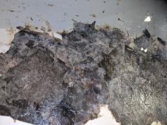 Image file: photo04.jpg