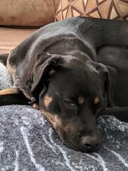 Image file: photo03.jpg