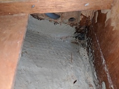 Image file: photo05.jpg