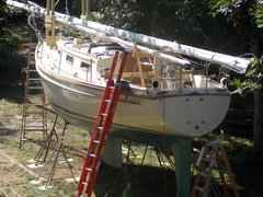 Image file: photo01.jpg