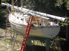 Image file: photo02.jpg