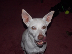 Image file: photo04.jpg