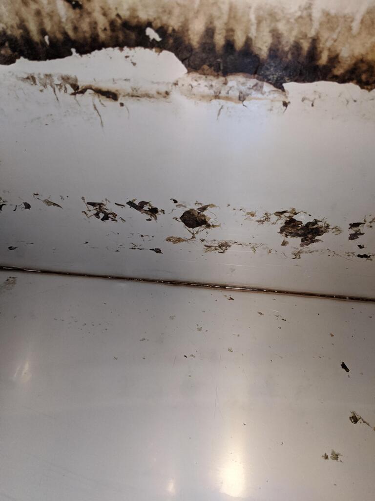 No description provided for: /2020/01-03/0126-ibis-tanks/photo02.html