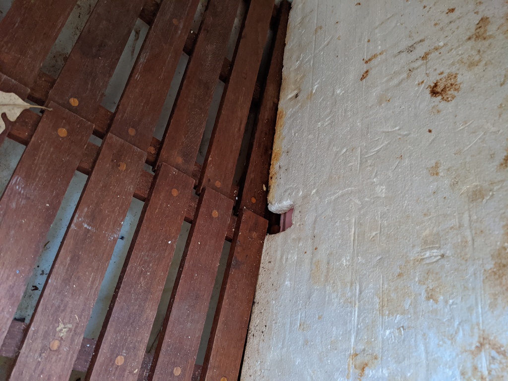 No description provided for: /2020/01-03/0223-ibis-ice-cavern/photo04.html