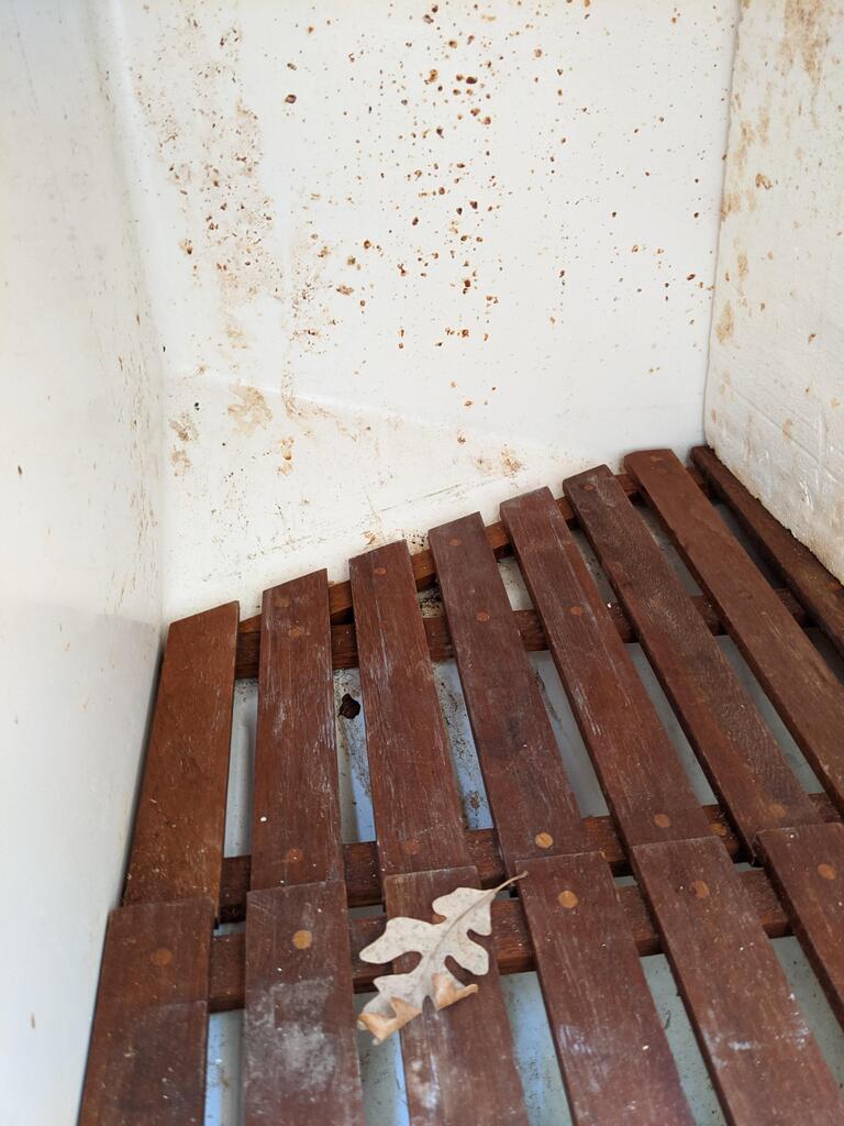 No description provided for: /2020/01-03/0223-ibis-ice-cavern/photo05.html