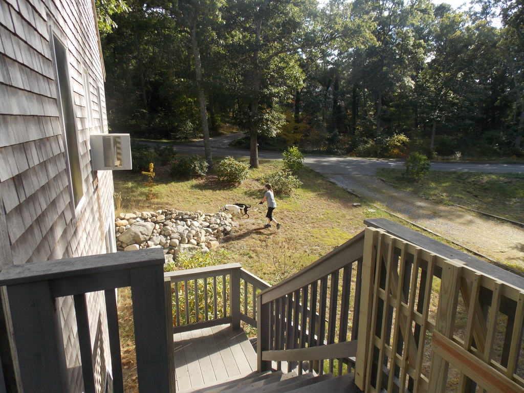 No description provided for: /2020/07-09/0926-erin-and-pups/photo02.html