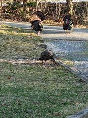 Image file: photo01.jpg