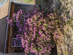 Image file: photo01.jpg