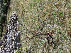 Image file: photo01.jpg