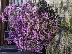 Image file: photo02.jpg