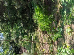 Image file: photo01.jpg