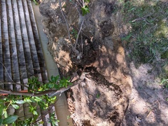 Image file: photo02.jpg