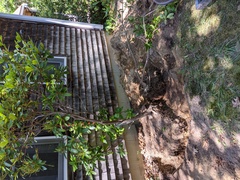 Image file: photo03.jpg