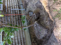 Image file: photo04.jpg