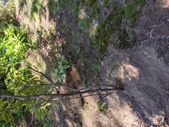 Image file: photo06.jpg