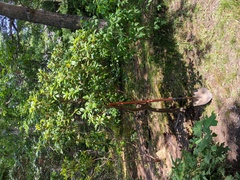 Image file: photo03.jpg