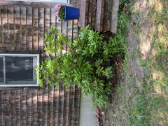 Image file: photo05.jpg