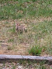 Image file: photo01.jpg