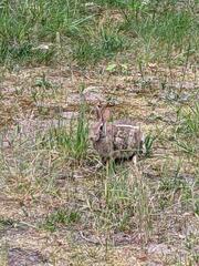 Image file: photo02.jpg