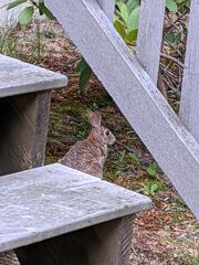 Image file: photo03.jpg