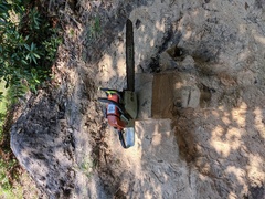 Image file: photo03.jpg