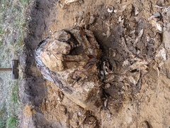 Image file: photo01.jpg