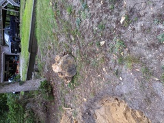 Image file: photo03.jpg