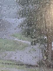 Image file: photo01.jpg