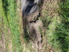 Image file: photo01.jpg