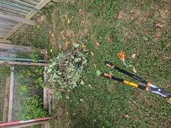 Image file: photo01.jpg