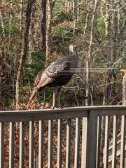 Image file: photo01.jpg