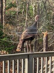 Image file: photo02.jpg